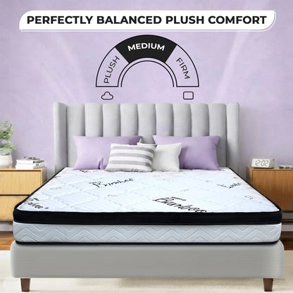 Prime Pillow Top by Alora